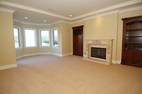home living room with fireplace and alcove